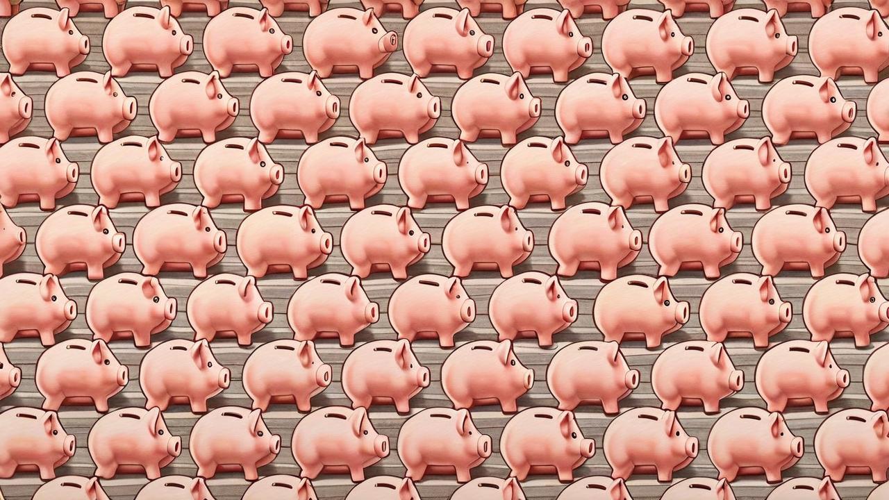 49959124